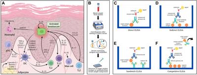 Clinical application of serum biomarkers for detecting and monitoring of chronic plaque psoriasis